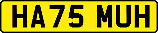 HA75MUH