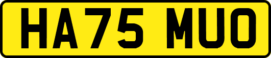 HA75MUO