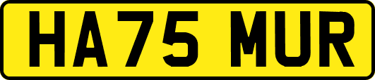 HA75MUR