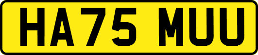 HA75MUU