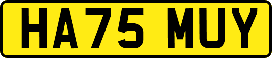 HA75MUY
