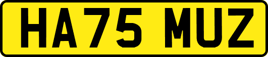 HA75MUZ