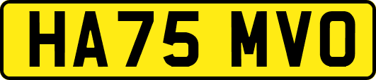 HA75MVO