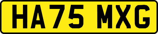 HA75MXG