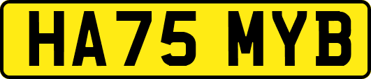 HA75MYB