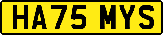 HA75MYS