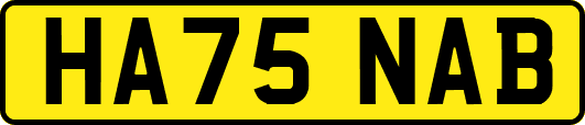 HA75NAB