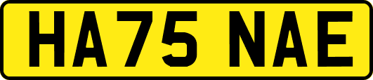 HA75NAE