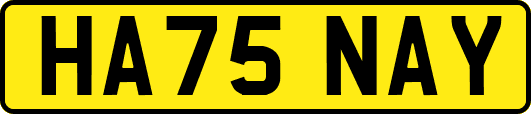 HA75NAY