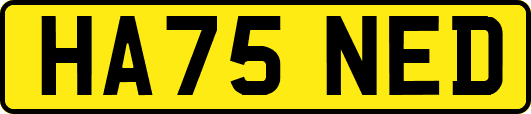 HA75NED