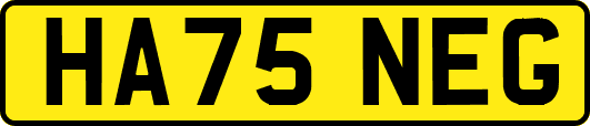 HA75NEG