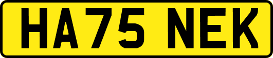 HA75NEK
