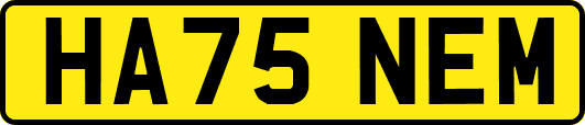 HA75NEM