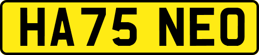 HA75NEO