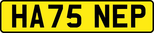HA75NEP