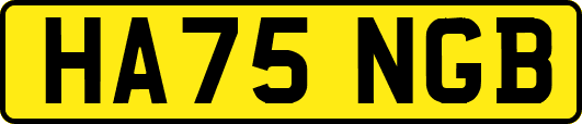 HA75NGB