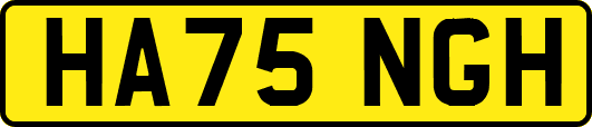 HA75NGH