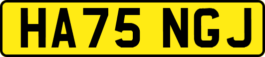 HA75NGJ