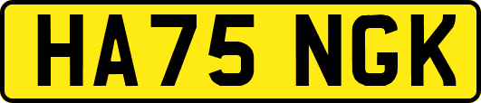 HA75NGK