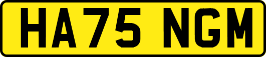 HA75NGM