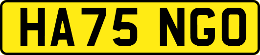 HA75NGO