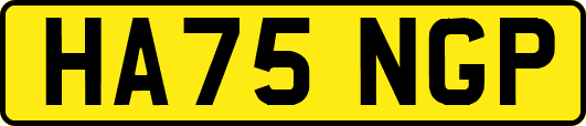 HA75NGP