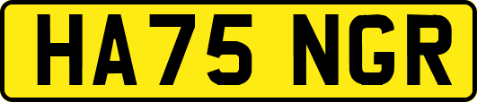 HA75NGR