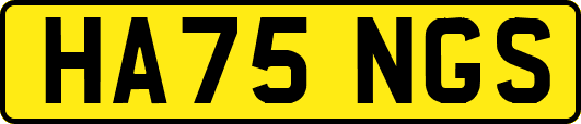 HA75NGS