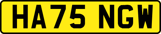 HA75NGW