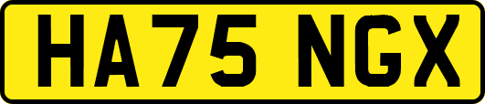 HA75NGX