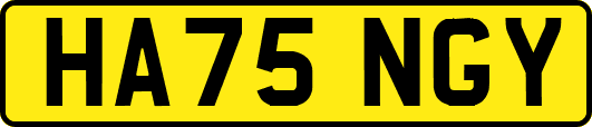 HA75NGY