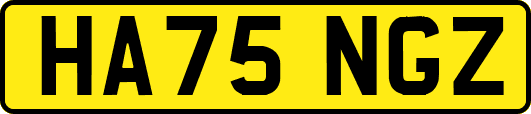 HA75NGZ