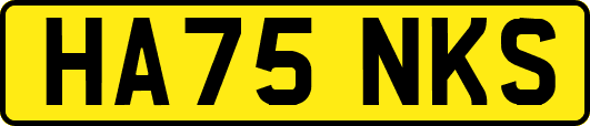 HA75NKS
