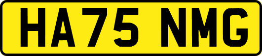 HA75NMG