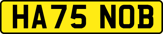 HA75NOB