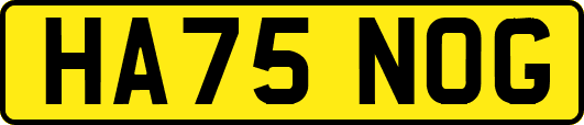 HA75NOG