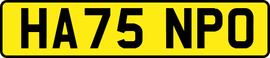 HA75NPO