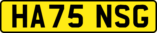HA75NSG