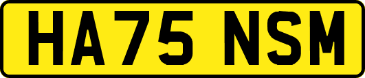 HA75NSM