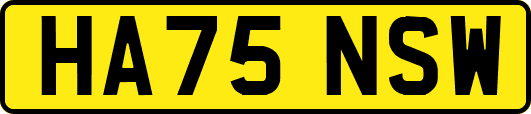 HA75NSW