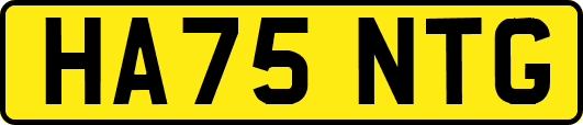 HA75NTG