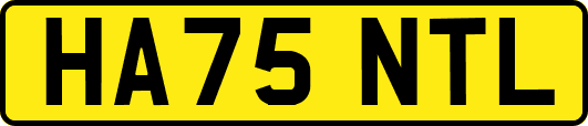 HA75NTL