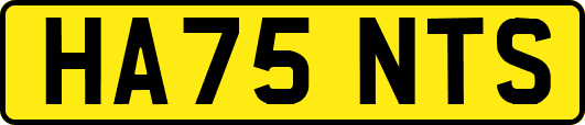 HA75NTS