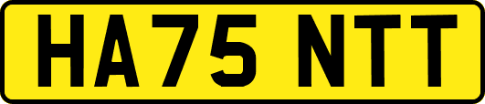 HA75NTT