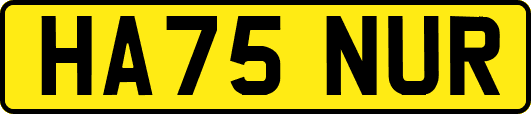 HA75NUR