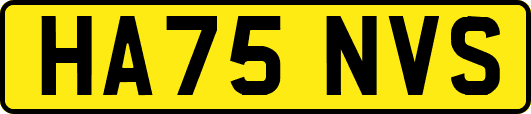 HA75NVS