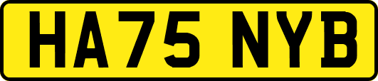 HA75NYB