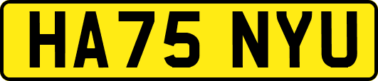 HA75NYU