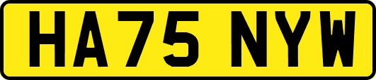 HA75NYW