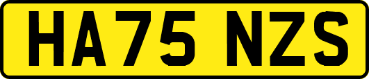 HA75NZS